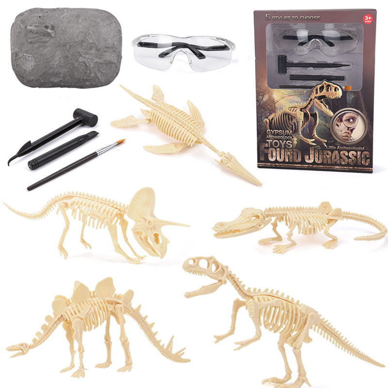 Science Toys - Kit di Scavo di Fossili di