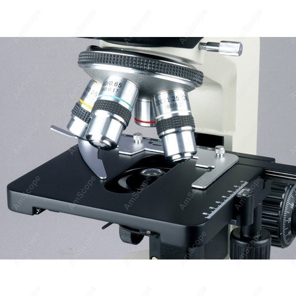Microscopio Biologico Binocula - Microscope Compound 40X recensione e prezzo