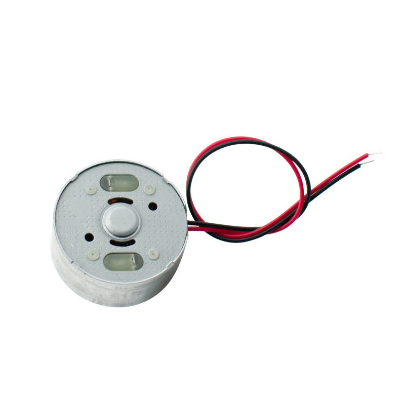   5 Pezzi Micro Motore DC R300 - Hobby Is Science recensione e prezzo