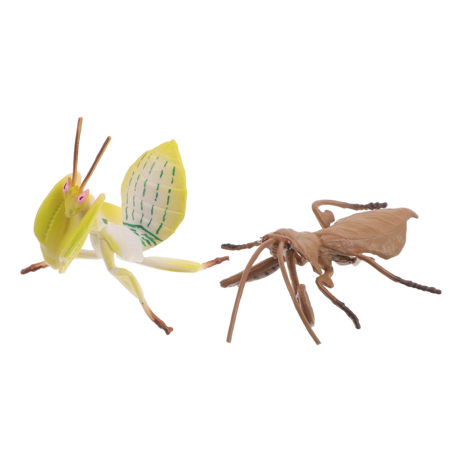 2 pezzi di insetti realistici  - Science Toys recensione e prezzo