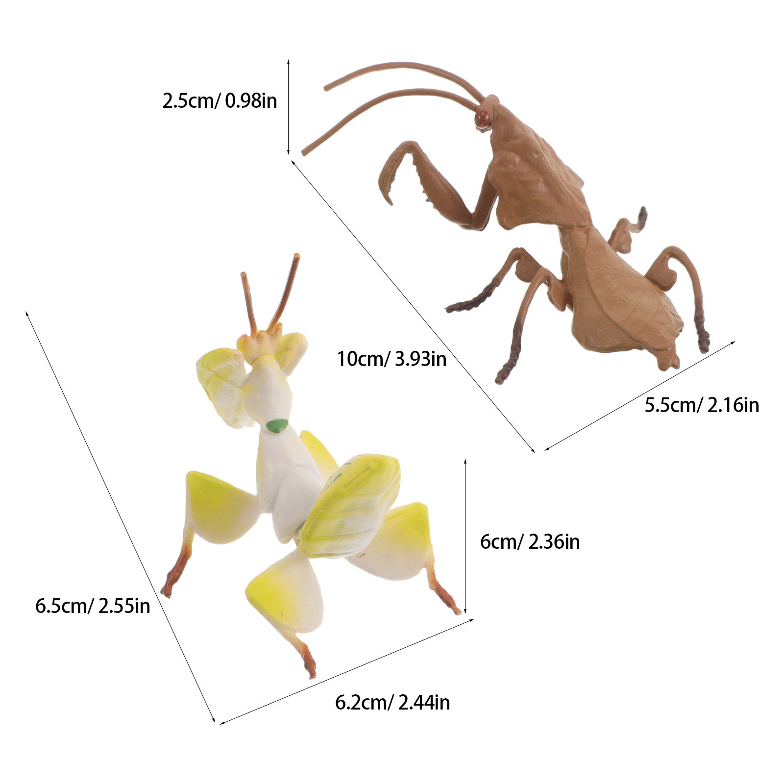 2 pezzi di insetti realistici  - Science Toys recensione e prezzo